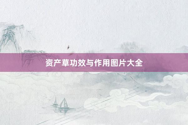 资产草功效与作用图片大全